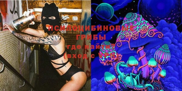 гашик Заволжье