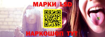 твердый Сланцы