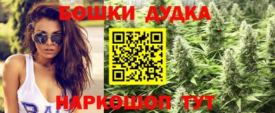 индика Славянск-на-Кубани
