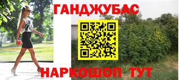твердый Сланцы
