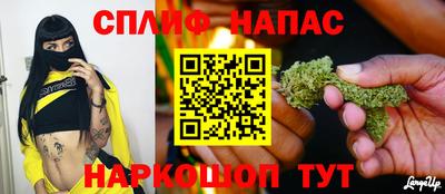 Альфа ПВП Славгород