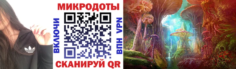 Галлюциногенные грибы Cubensis  Советск 